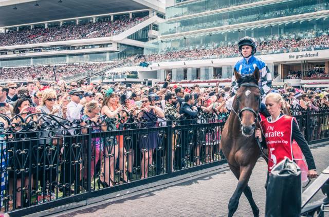 嘘！我要去澳洲了，不如一起吧