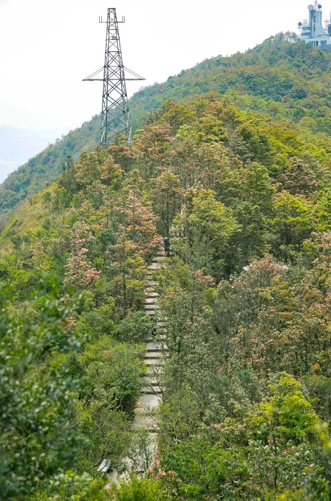 深圳值得打卡的建筑物,深圳最值得打卡的山
