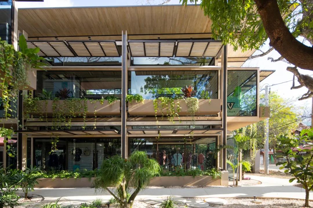 一个完全开放式的林中村落——哥斯达黎加体育中心