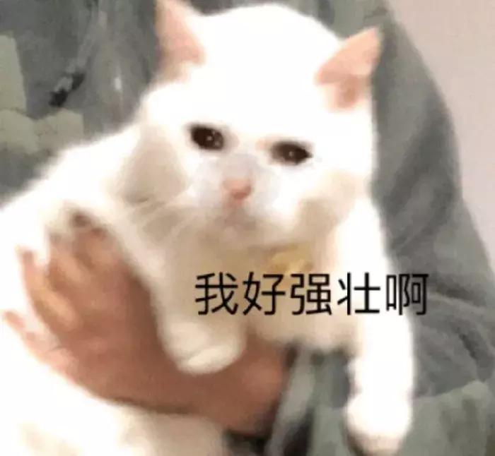 我竟然用一支口红的钱，承包了超市的半个货架？！