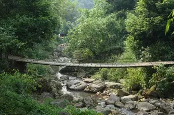 成都秋老虎发威的地方,成都秋老虎最新视频