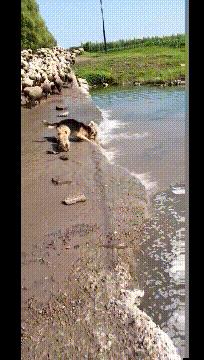 喜欢很久的小哥哥,喜欢了很久的小哥哥