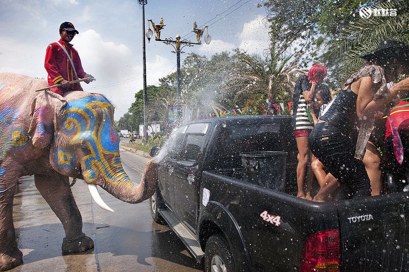 清迈疯狂的宋干节泼水节,2019泰国宋干泼水节