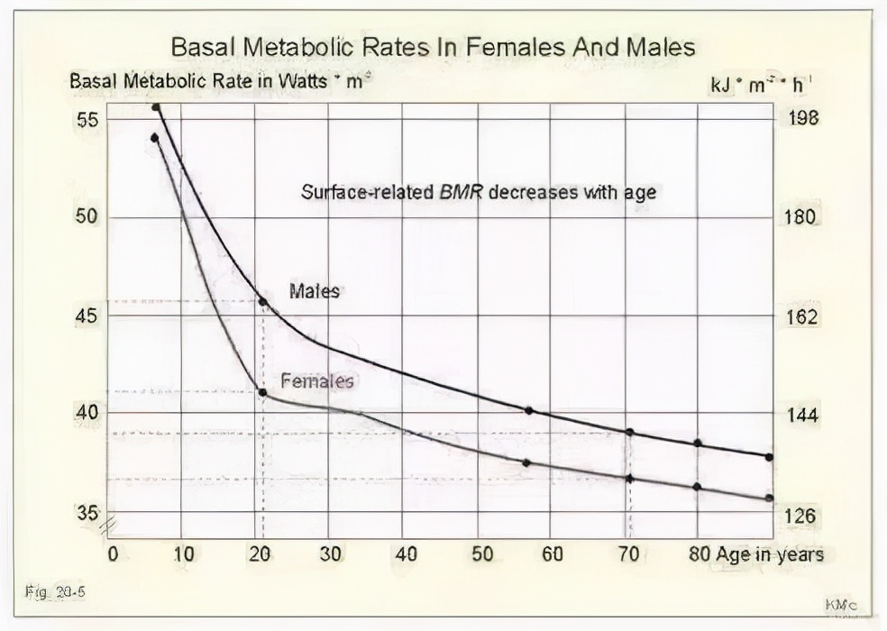 8招让你提高基础代谢更容易瘦,8个方法提高代谢让我瘦了50斤