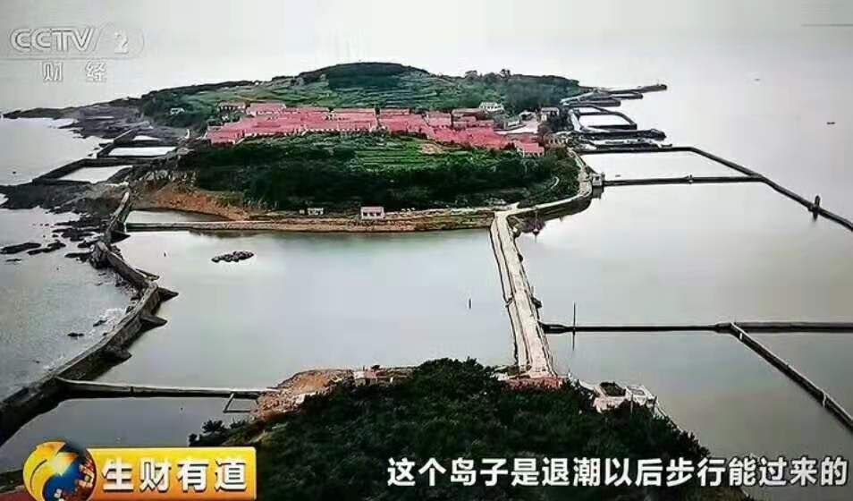 乳山牡蛎怎么做好吃,乳山牡蛎做汤怎么做最好喝