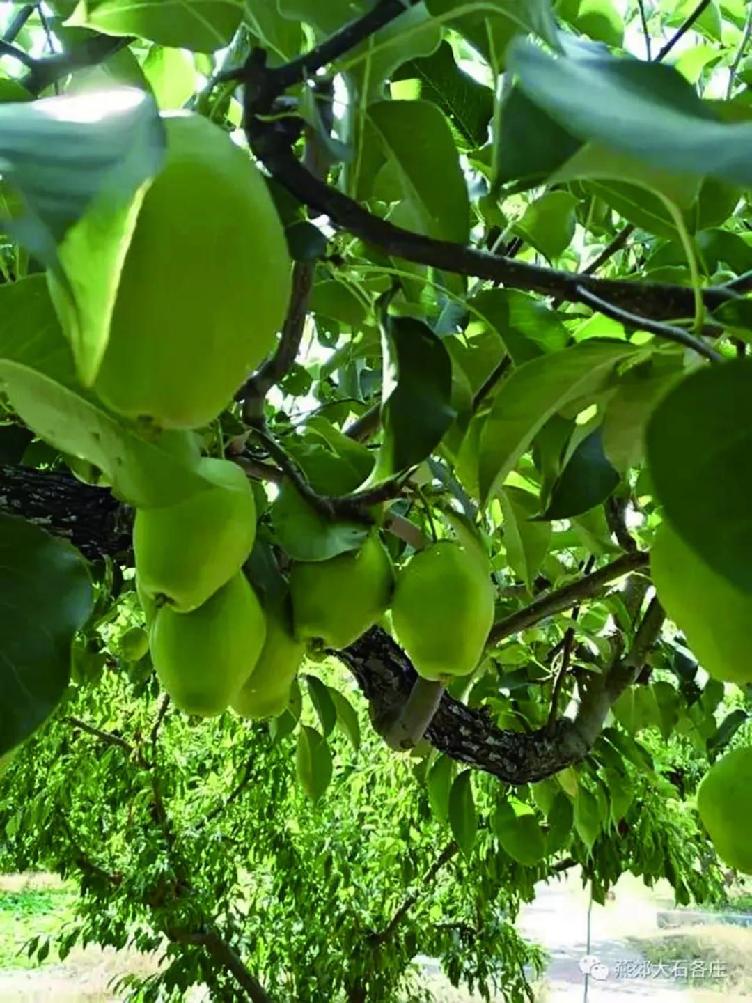 乡村精品游线路推荐,极品旅游景点推荐