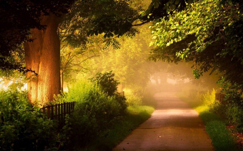 处事低调却深藏不露的星座,超然物外淡泊名利的星座有哪些