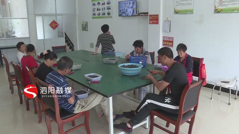 泗阳老旧房改造,泗阳房子怎么样