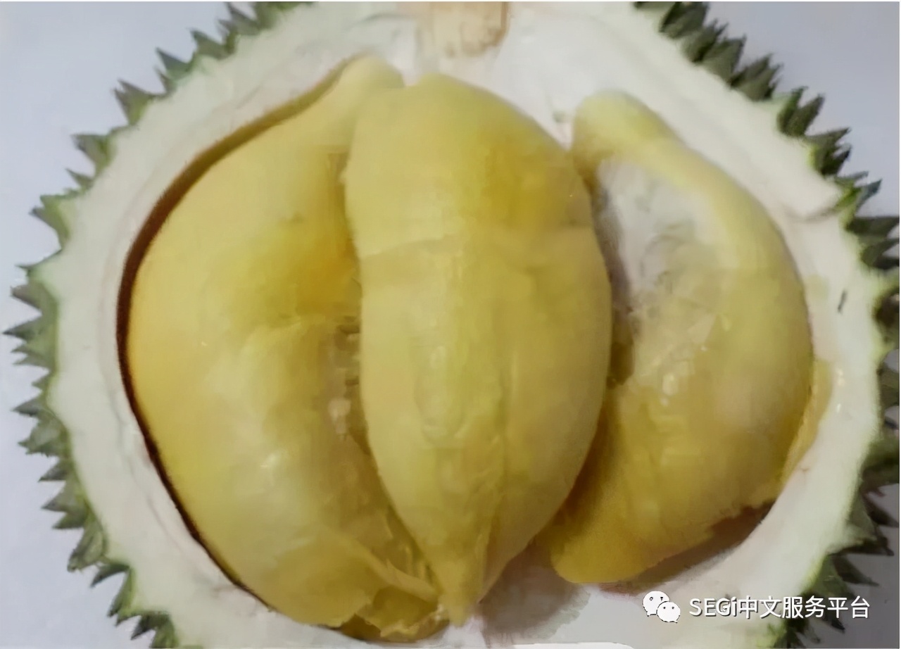 马来西亚的榴莲有啥品种,马来西亚榴莲有几种