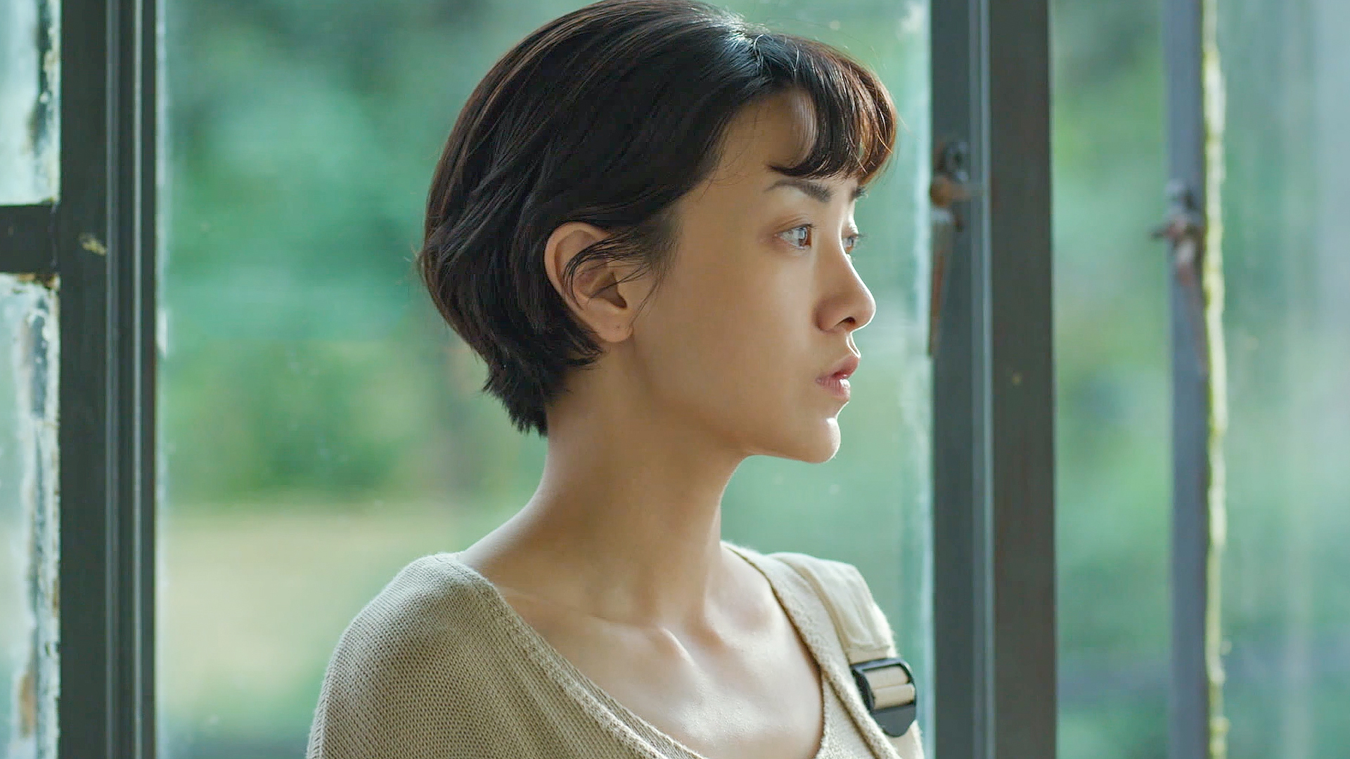 喜宝得到多少财产,喜宝无限回收了吗