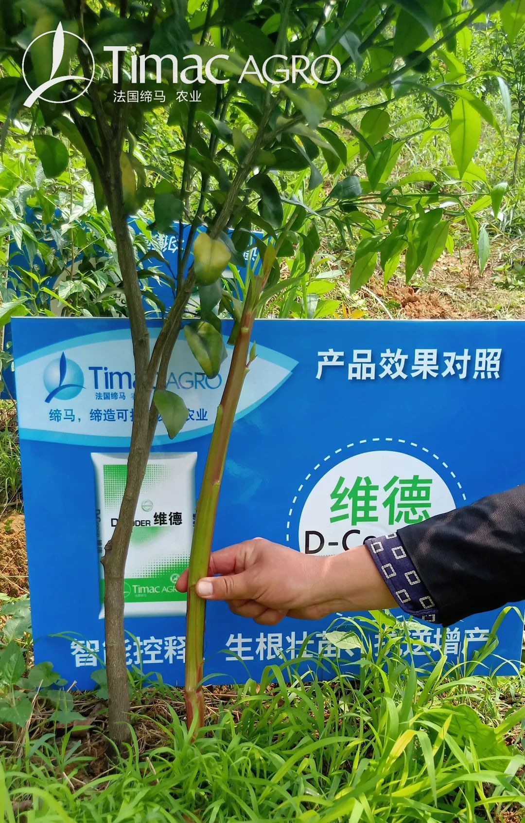 法国缔马维德,法国缔马肥料怎么样