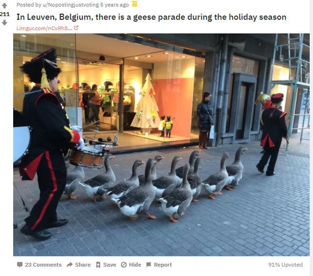 欧洲抗病毒扛把子，原来是这个薯条王国