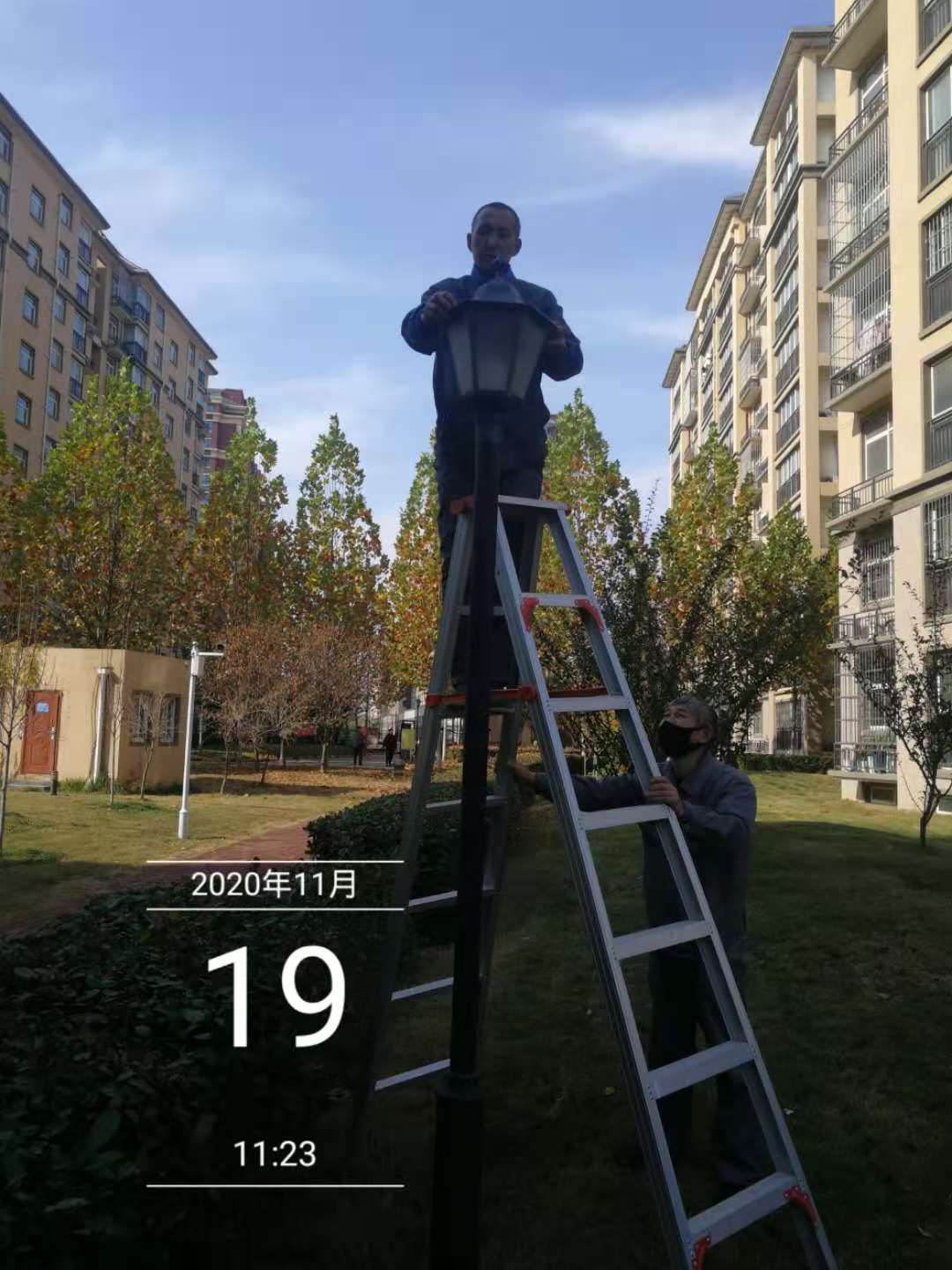 凤凰城二期物业管理,凤凰城物业现状