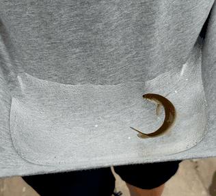 aj和莆田鞋穿起来有区别吗,aj穿哪双鞋出去最有面子