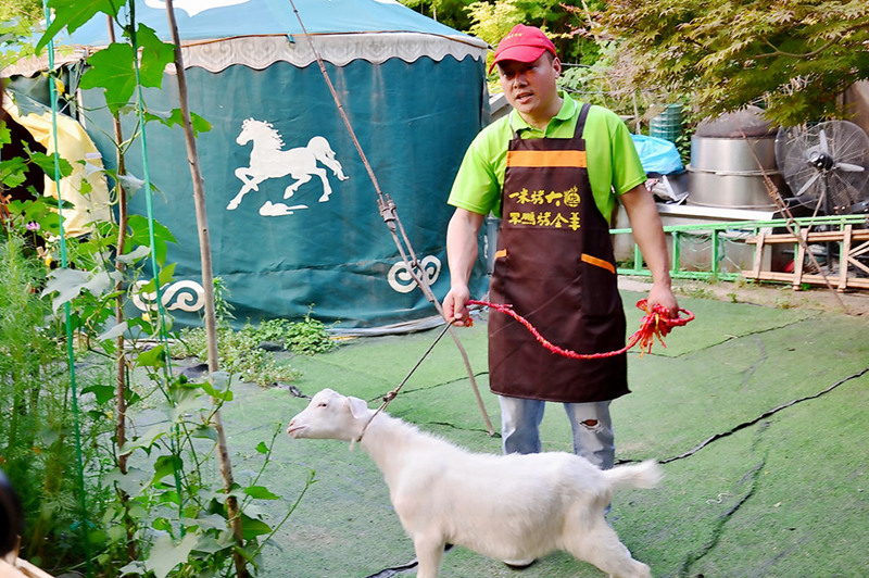 吉利网红美食打卡地军鹏烤全羊一米烤大串欢迎您