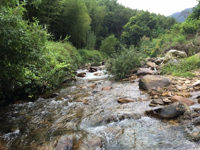 广州从化溪头村一日游出游攻略,从化溪头村自驾游攻略视频