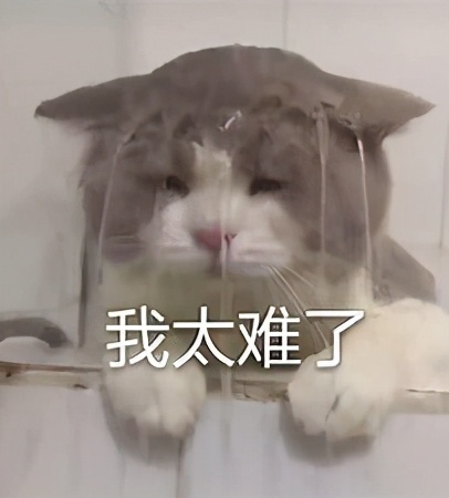 剑网3情缘语录,剑网三情缘语录