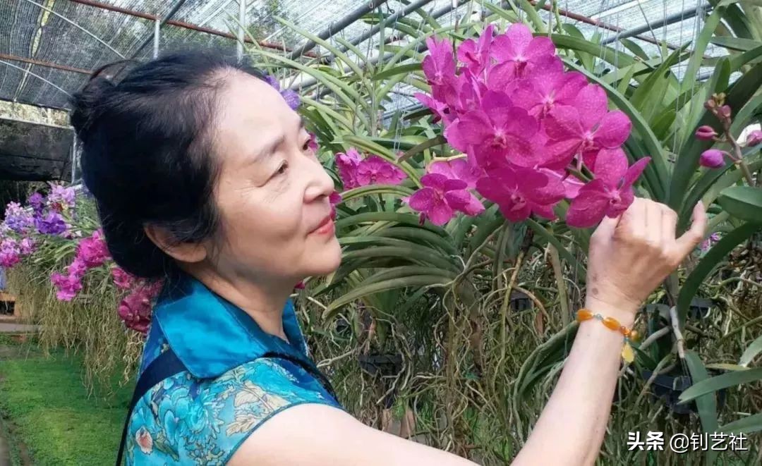 大妈旅游拍照姿势大全高级感,中国大妈旅游团拍照