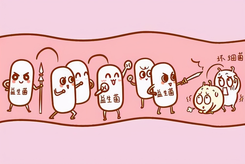 春季补充益生菌,儿童春季需要补充益生菌