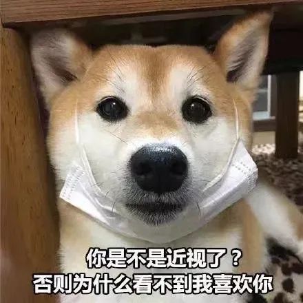 幼犬抽搐口吐白沫查不出犬瘟,狗狗犬瘟抽搐吐大量白沫怎么办