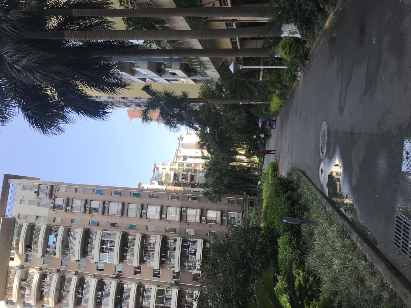 《怡港花园》——锤哥点评广州楼盘100篇，老黄埔·怡港花园