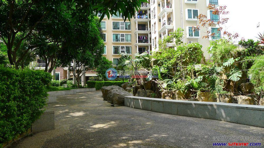 罗湖深圳中学学位房,如何挑选深圳学位房