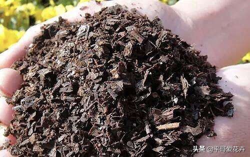 花盆土怎么做营养土,花盆板结土如何制作营养土