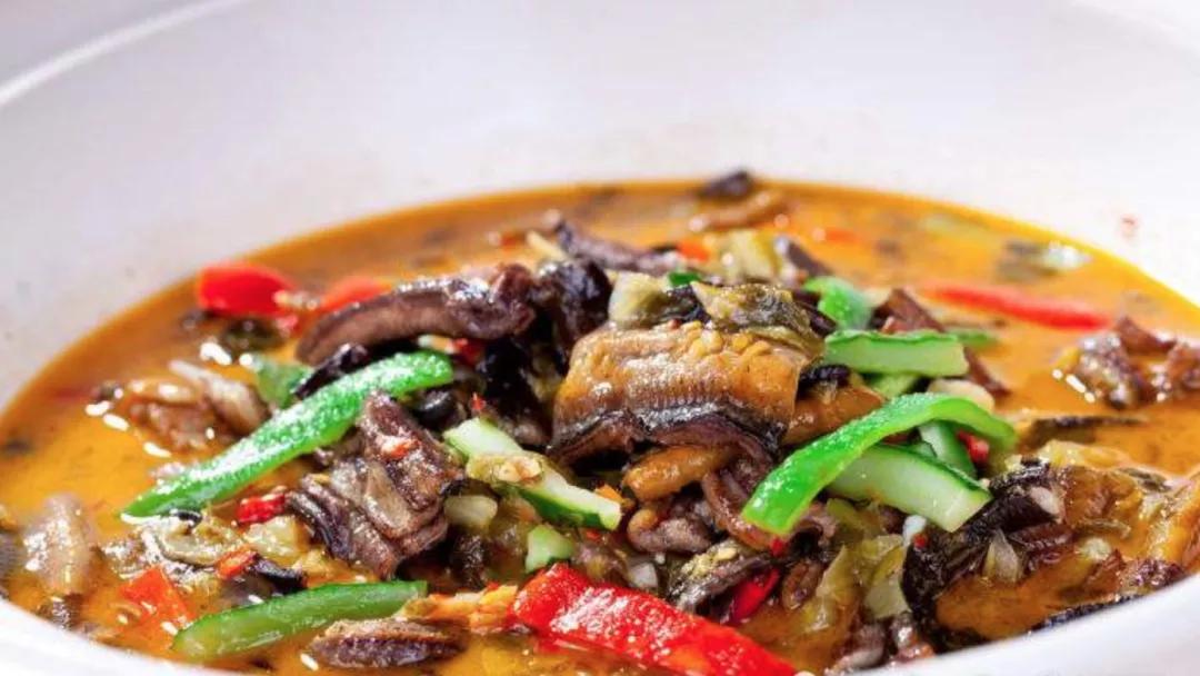 黄鳝，淡水水族中的小角色，凭什么成了直播时代的网红