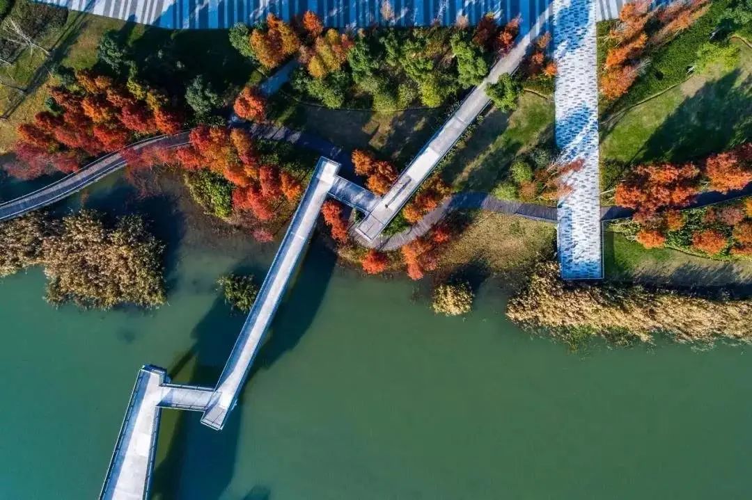 苏州小众却很棒的地方,五一来苏州必去的打卡地