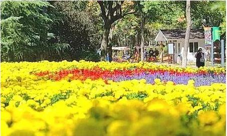 济南红叶谷春季旅游景点排行,济南红叶谷几月份去旅游比较合适