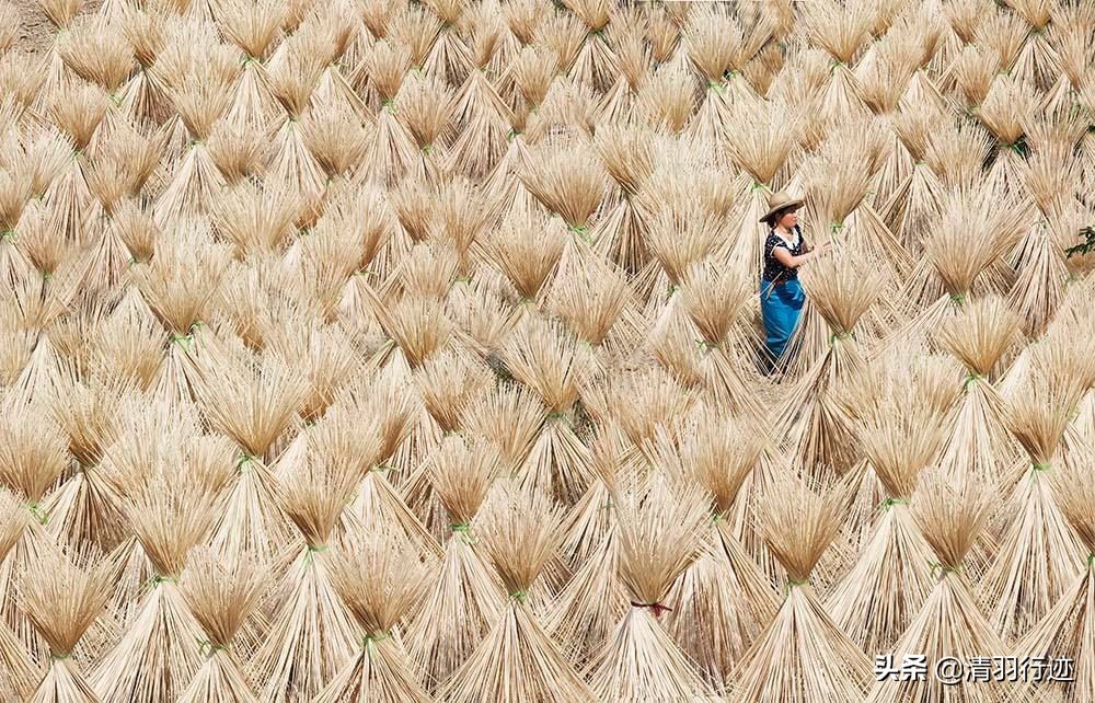 手艺传承之油纸伞,油纸伞工艺传承背后的故事