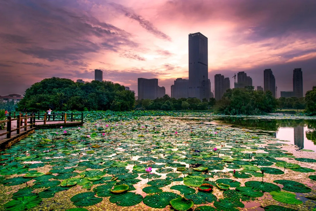 马光远是著名经济学家,经济学家马光远是房产大亨吗