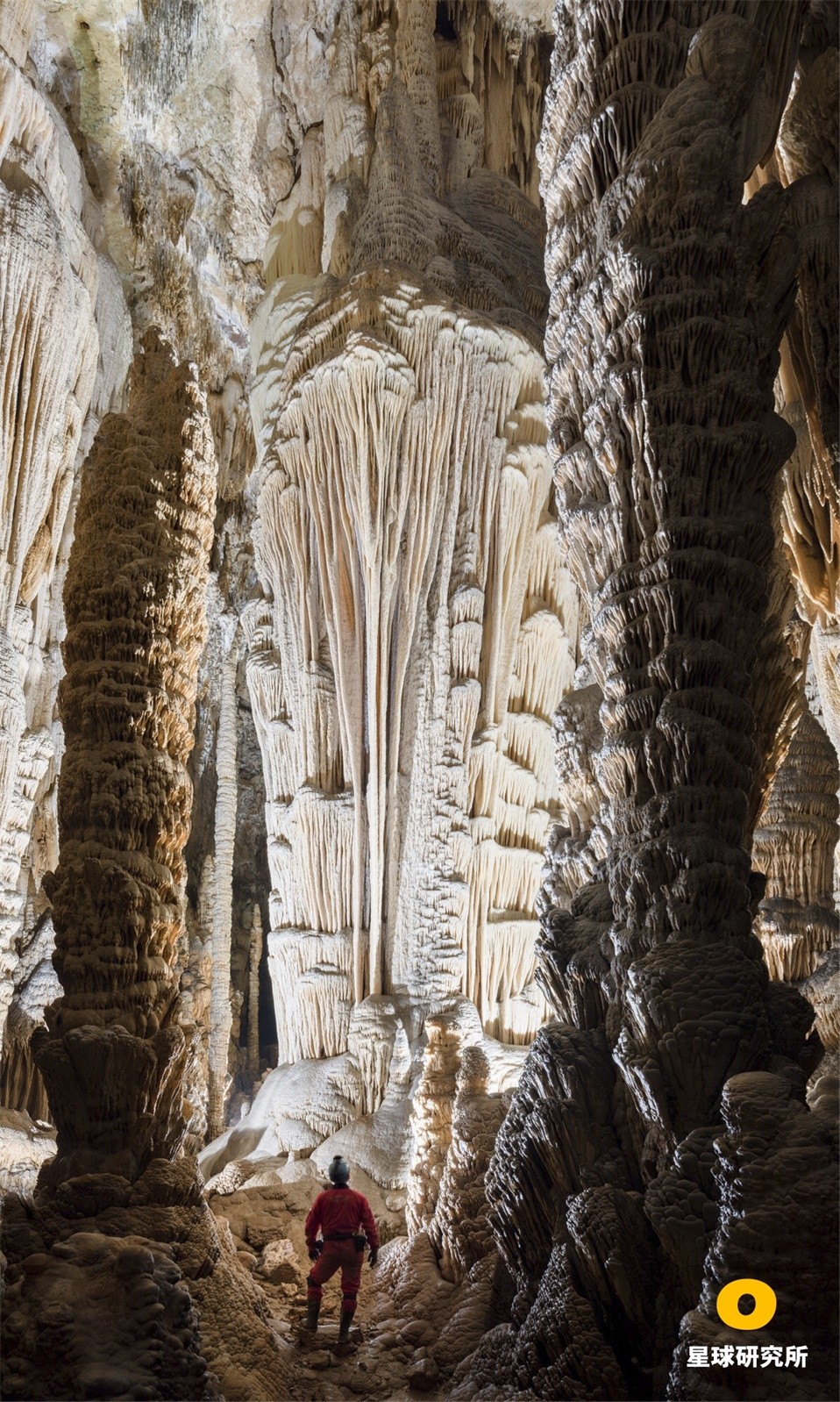 中国南方喀斯特的组成,中国南方喀斯特地貌原因