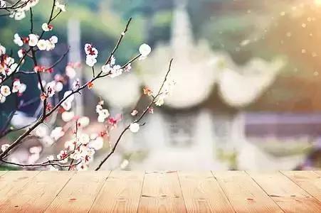 礼记大学节选重点句,礼记六大传世金句