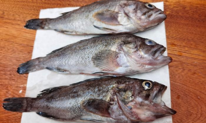 炖鱼除腥增香的香料,炖鱼去腥味的最佳调料