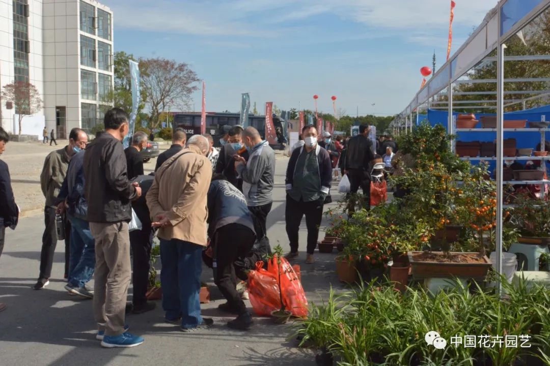 2021第三届中国盆景展,盆景展览会精品展