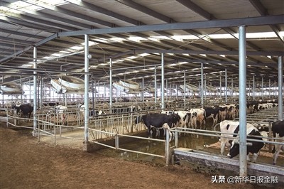 卫岗奶业集团,卫岗乳业驰援南京