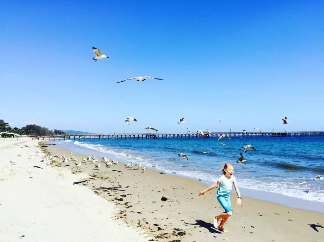 加州旅游攻略视频大全,加州旅游攻略