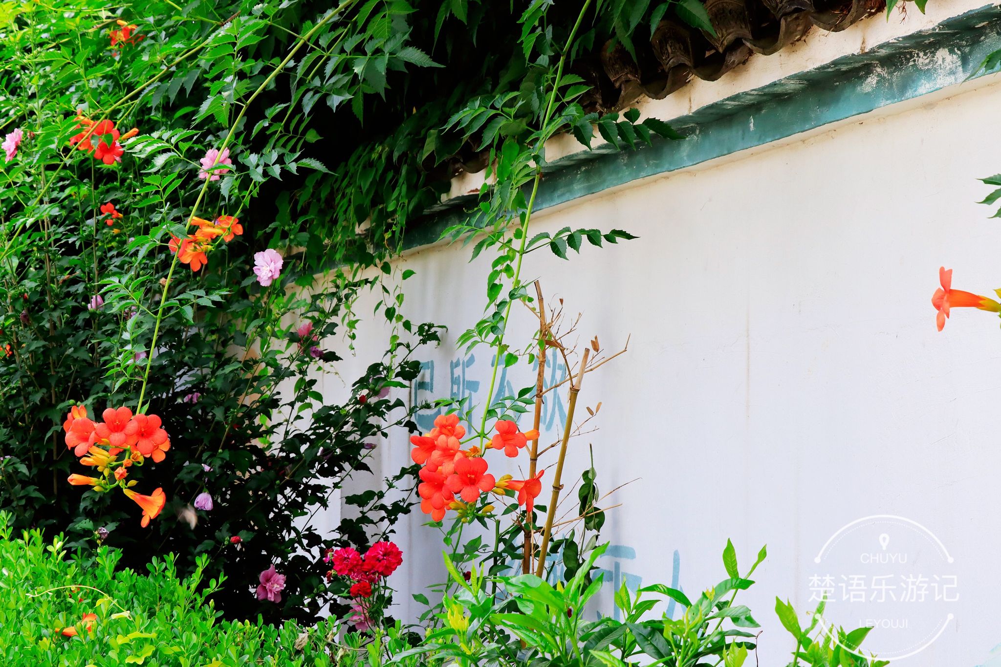 慈溪方家河头古村晚上有旅游的吗,慈溪方家河头村古村落