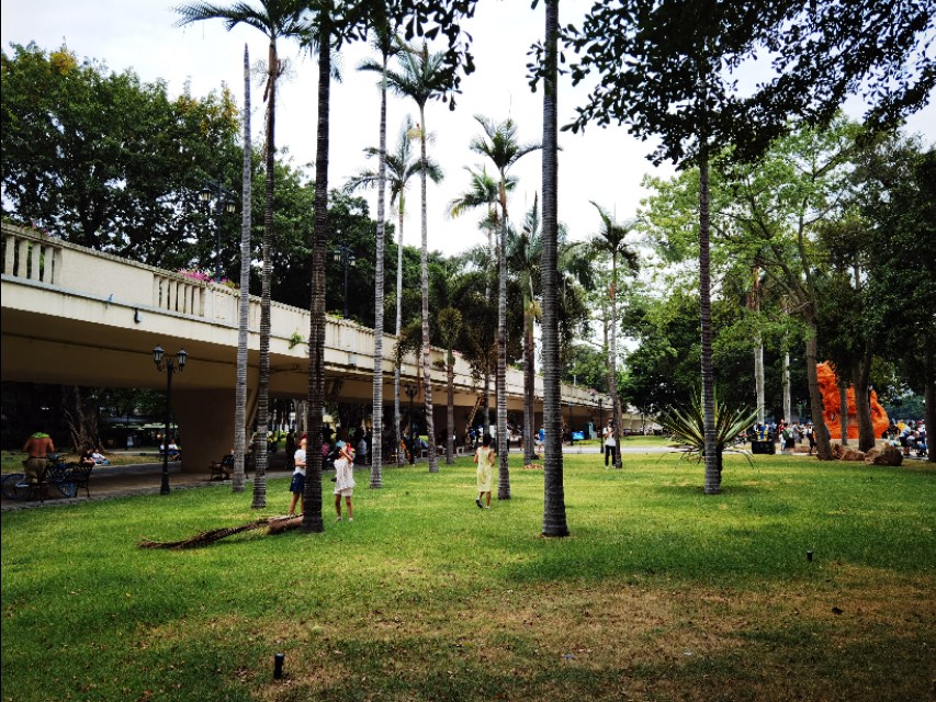 广州租界最早的沙面,广州沙面岛以前是租界吗