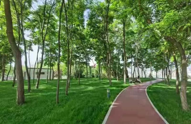 白银市党代会报告全文,白银区第十五届人代会