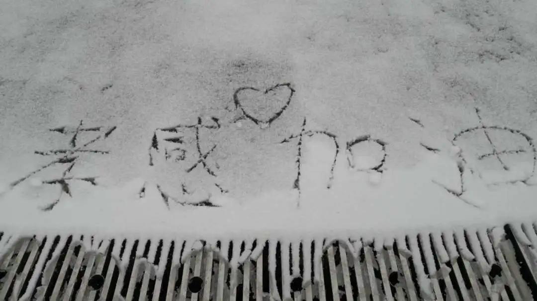 战役前线书写青春赞歌,战疫路上以青春之名书写无悔担当