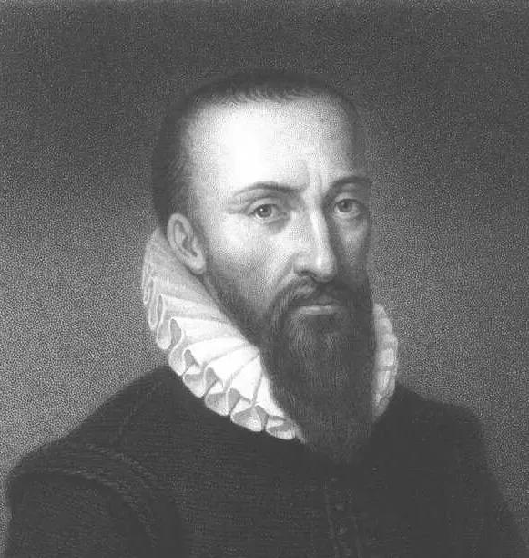 疼疼疼！截掉的胳膊，为什么感觉它还在动？