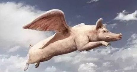 盘子女人坊店员工作怎么样,济南盘子女人坊店员