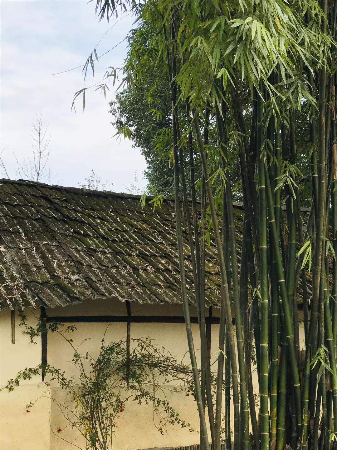 未来的新都,看一下新都的二手房