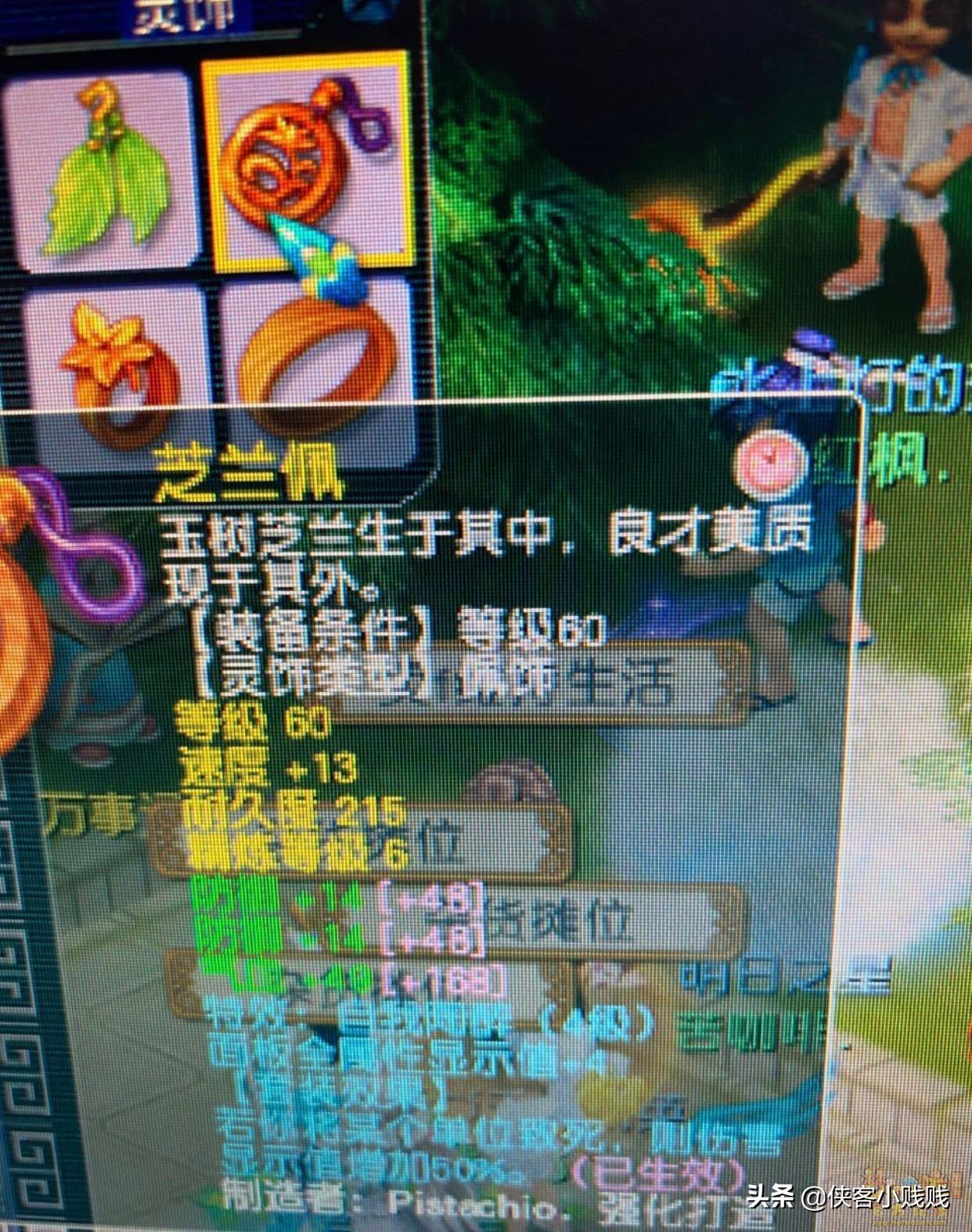 精锐组神木林展示,精锐神木林