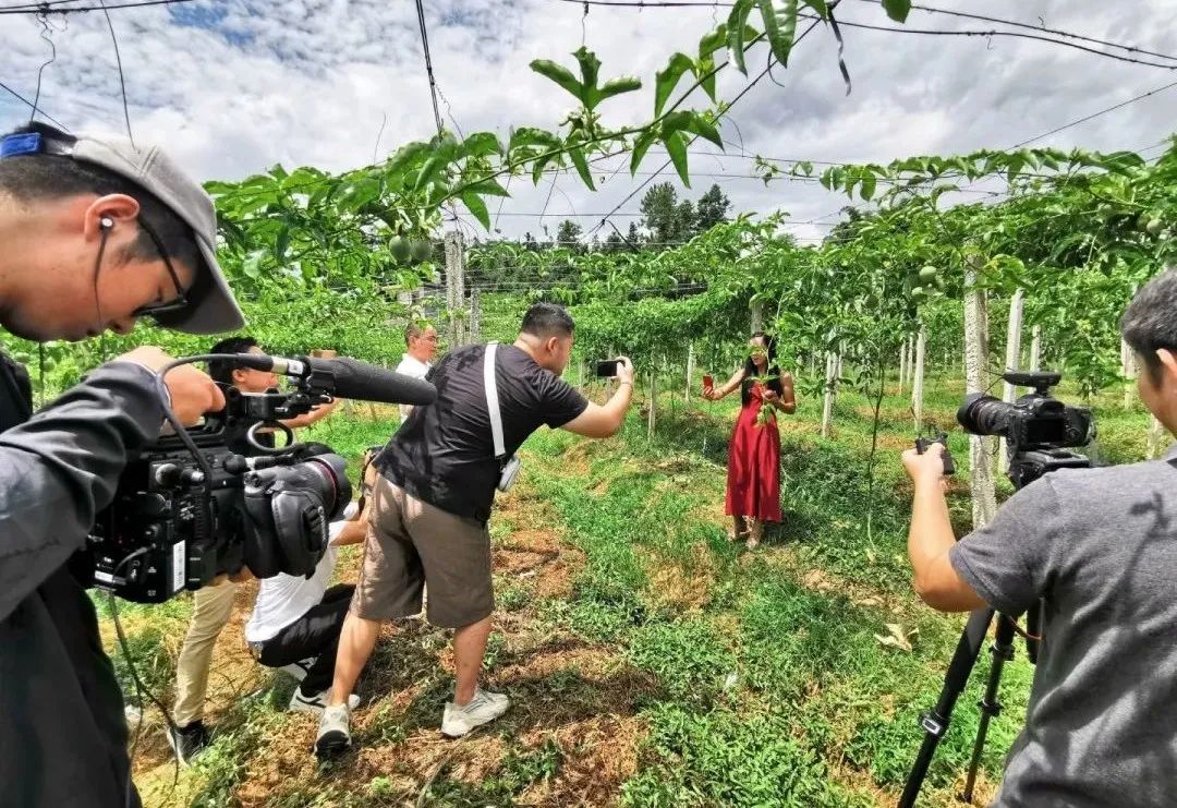 90后新农人直播视频,90后新农人创业故事