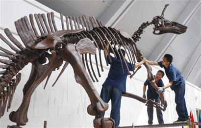 山东哪里有恐龙乐园,山东恐龙和其他恐龙对比