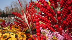 过年你被催婚了,过年你被家人逼婚吗