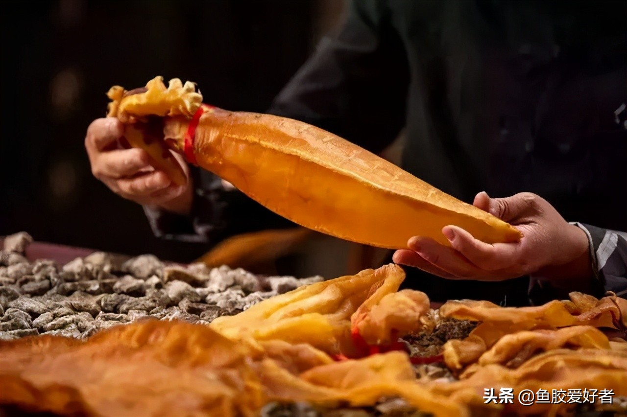 鱼胶选买什么样的好,如何挑选鱼胶让人觉得你是内行